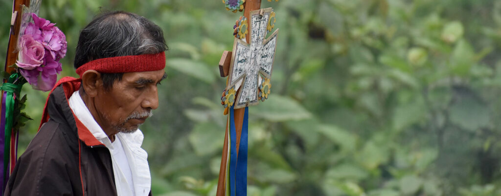 produccion-la-sangre